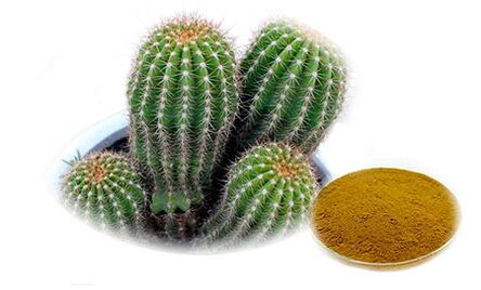 Hoodia gordoni dans le cadre de Reduslim